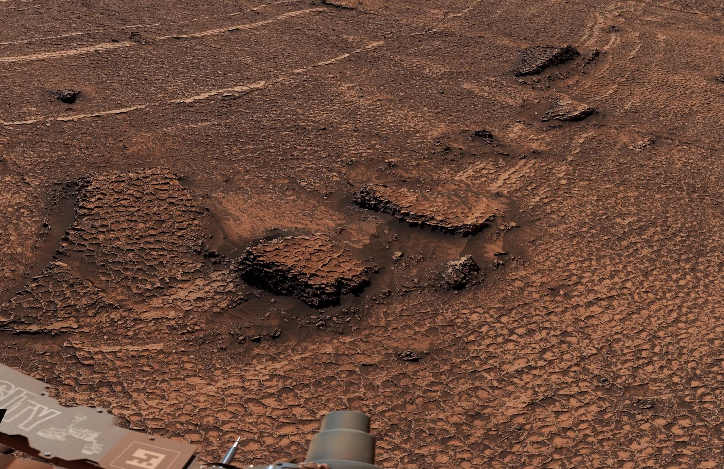 Close view of low polygonal ridges surrounding shallow cells at Valle Grande